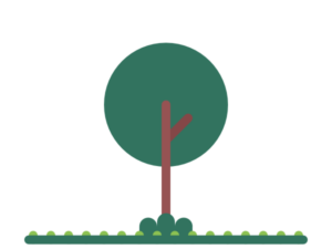 Pianta e adotta 1 Albero