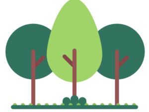 Adotta 3 alberi di nocciole