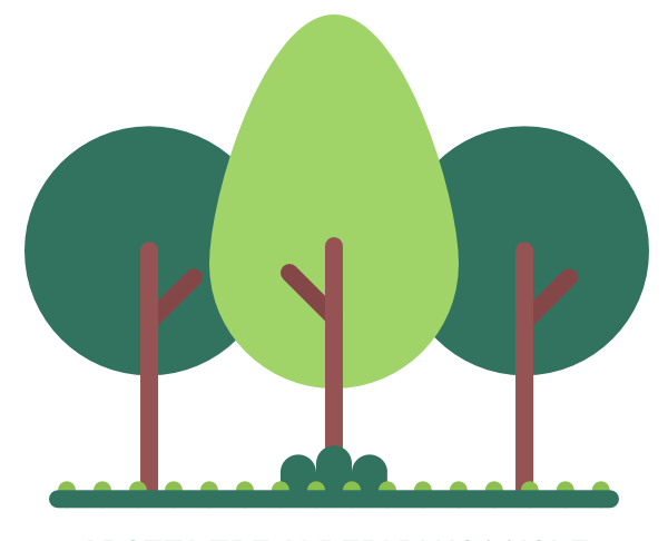 Adotta 3 alberi di nocciole
