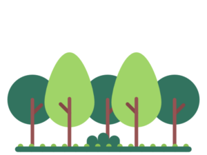 Pianta e adotta 5 Alberi di Bosco